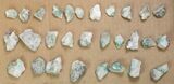 Lot: Emerald Crystals in Calcite - Pieces #138908-2